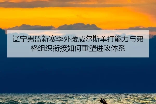 liao-ning-nan-lan-xin-sai-ji-wai-yuan-wei-er-si-dan-da-neng-li-yu-fu-ge-zu-zhi-xian-jie-ru-he-zhong-su-jin-gong-ti-xi-3-936.jpg