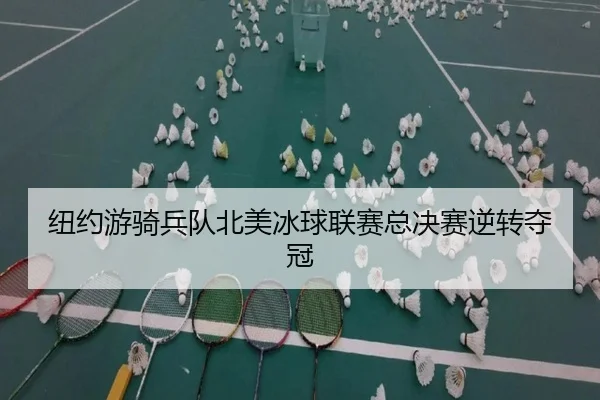 niu-yue-you-qi-bing-dui-bei-mei-bing-qiu-lian-sai-zong-jue-sai-ni-zhuan-duo-guan-3-889.jpg