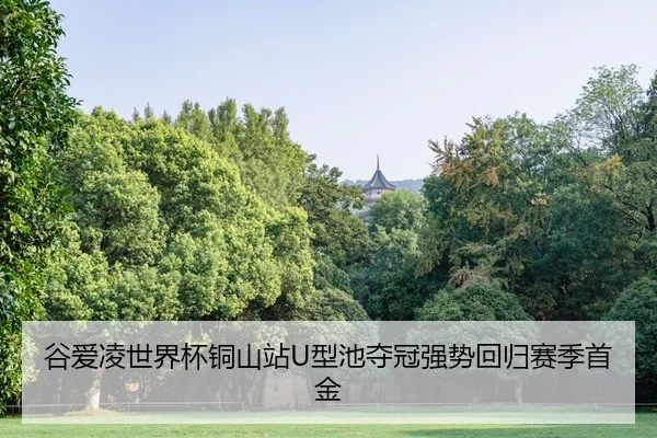 谷爱凌世界杯铜山站U型池夺冠强势回归赛季首金