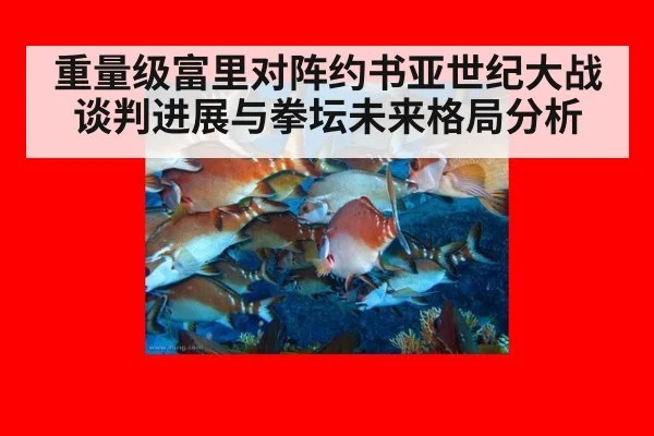 重量级富里对阵约书亚世纪大战谈判进展与拳坛未来格局分析